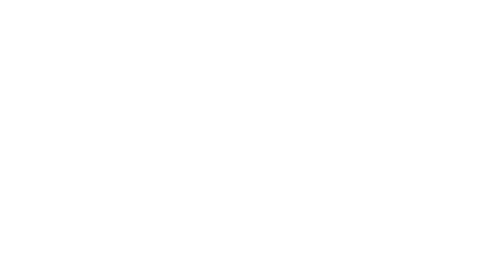 Cyvect Logo